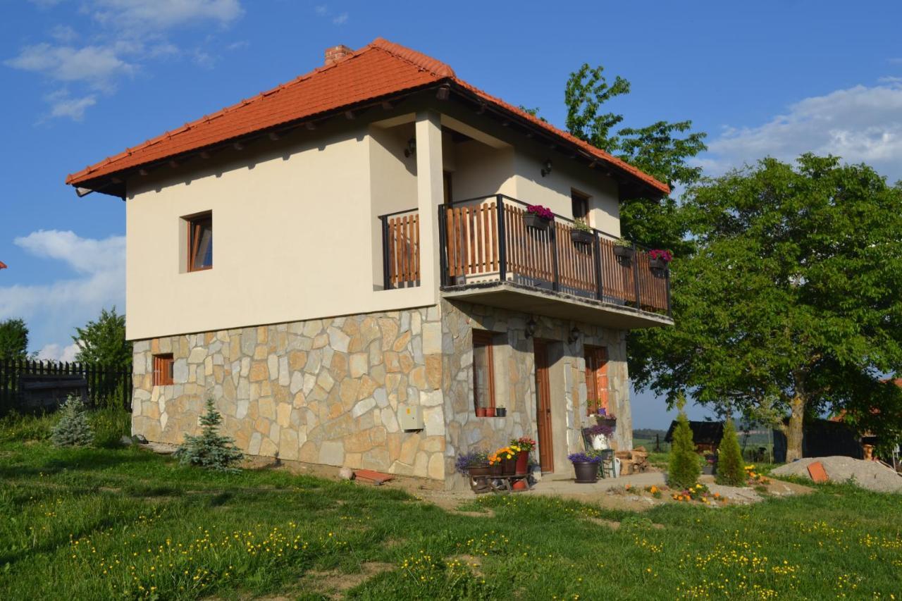 Zlatibor Cottages Esterno foto