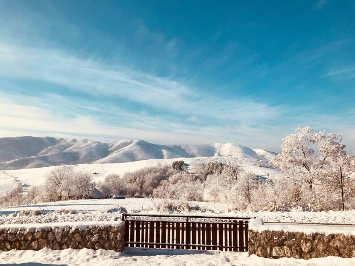 Zlatibor Cottages Esterno foto
